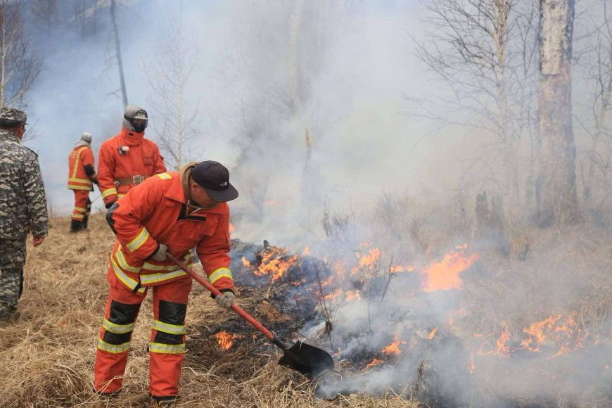 Булган аймагт бүртгэгдсэн ойн түймрийг бүрэн унтраалаа